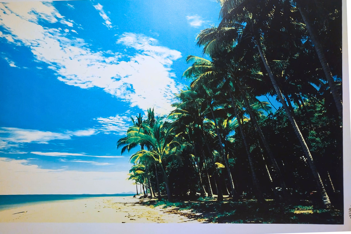 Dzika plaża